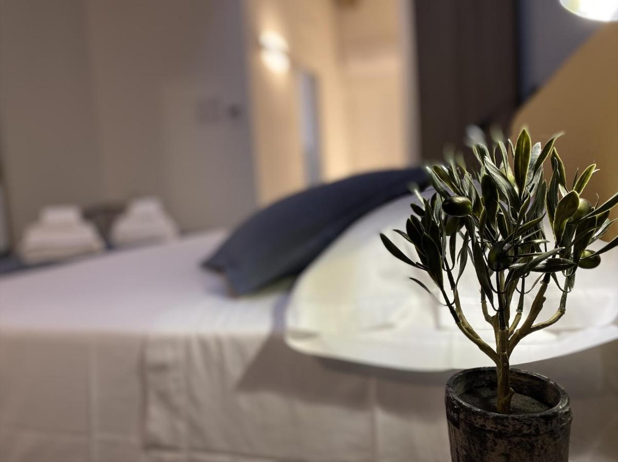 L'Ulivo Comfort Rooms 泰拉西尼 外观 照片